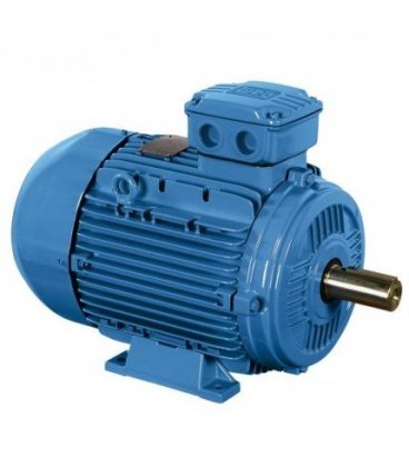 Motor fierastrau circular cu puterea 2,2 kW - 230 V